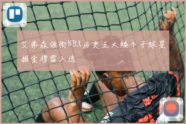 艾弗森领衔NBA历史五大矮个子球星掘金穆雷入选