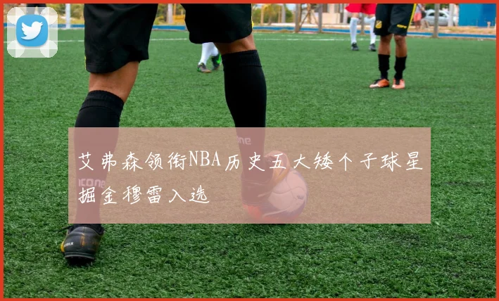 艾弗森领衔NBA历史五大矮个子球星掘金穆雷入选